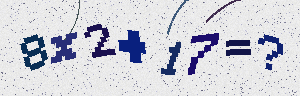 Arithmetic verification image